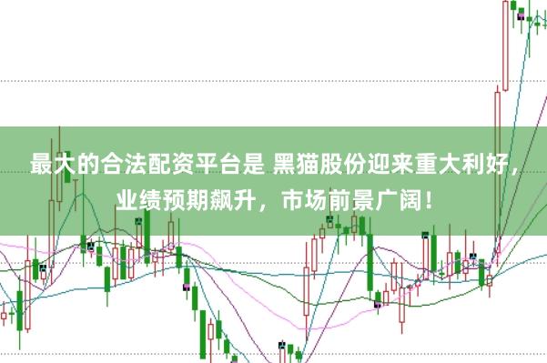 最大的合法配资平台是 黑猫股份迎来重大利好，业绩预期飙升，市场前景广阔！