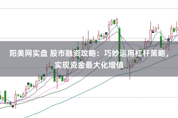 阳美网实盘 股市融资攻略：巧妙运用杠杆策略，实现资金最大化增值