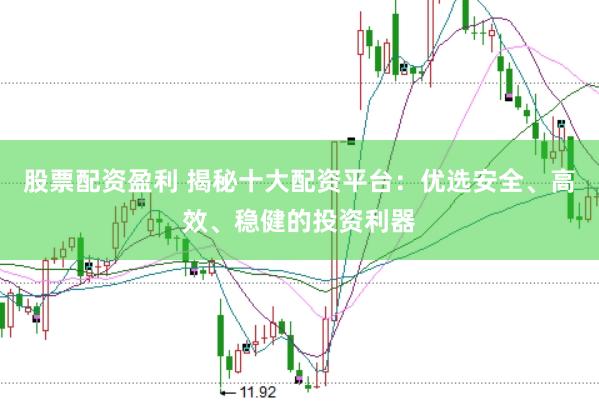 股票配资盈利 揭秘十大配资平台：优选安全、高效、稳健的投资利器