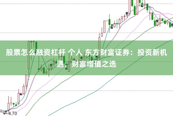 股票怎么融资杠杆 个人 东方财富证券：投资新机遇，财富增值之选