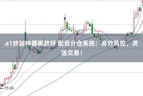 a1炒股神器哪款好 配资分仓系统：高效风控，灵活交易！