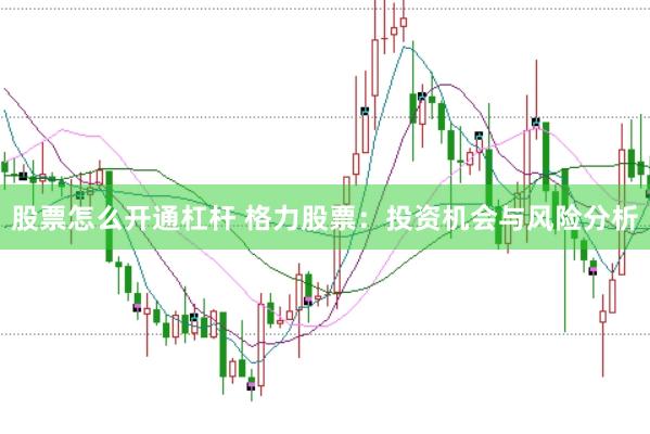 股票怎么开通杠杆 格力股票：投资机会与风险分析