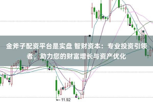 金斧子配资平台是实盘 智财资本：专业投资引领者，助力您的财富增长与资产优化