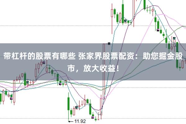 带杠杆的股票有哪些 张家界股票配资：助您掘金股市，放大收益！