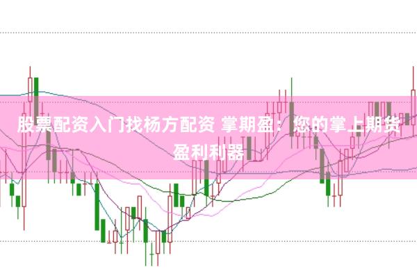 股票配资入门找杨方配资 掌期盈：您的掌上期货盈利利器