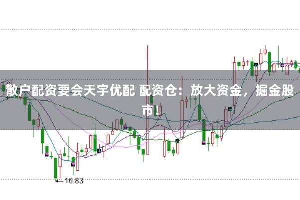散户配资要会天宇优配 配资仓：放大资金，掘金股市！