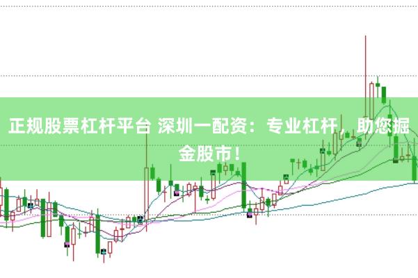 正规股票杠杆平台 深圳一配资：专业杠杆，助您掘金股市！