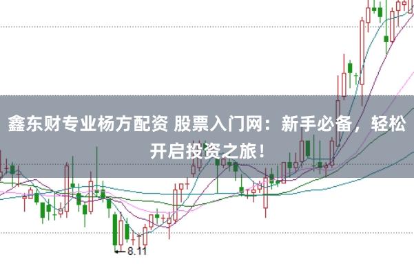 鑫东财专业杨方配资 股票入门网：新手必备，轻松开启投资之旅！