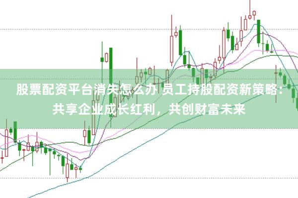 股票配资平台消失怎么办 员工持股配资新策略：共享企业成长红利，共创财富未来