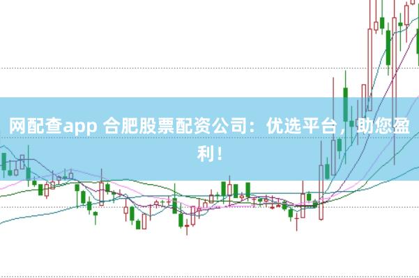 网配查app 合肥股票配资公司：优选平台，助您盈利！