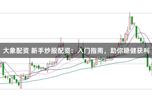 大象配资 新手炒股配资：入门指南，助你稳健获利
