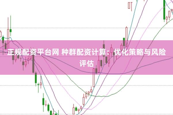 正规配资平台网 种群配资计算：优化策略与风险评估
