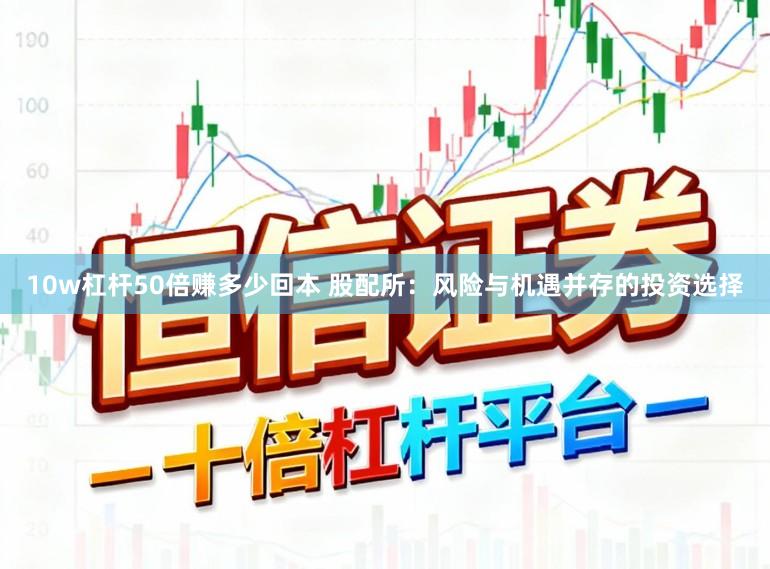 10w杠杆50倍赚多少回本 股配所:风险与机遇并存的投资选择