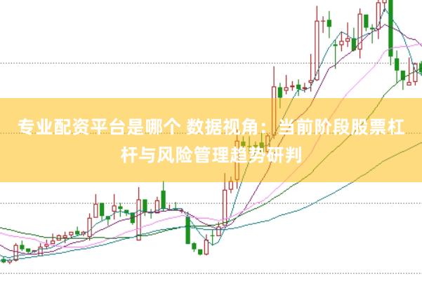 专业配资平台是哪个 数据视角：当前阶段股票杠杆与风险管理趋势研判